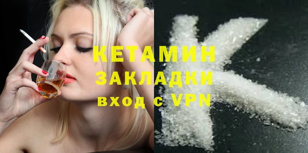 гашик Алексин