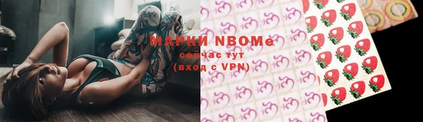 гашик Алексин
