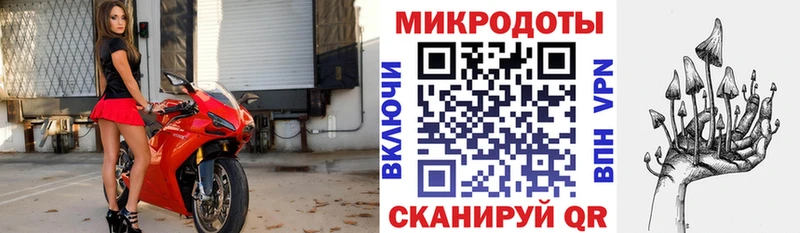 Галлюциногенные грибы Psilocybine cubensis  Спасск-Рязанский 